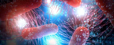 E. coli bacterial cells are shown in red over a blue-white background.