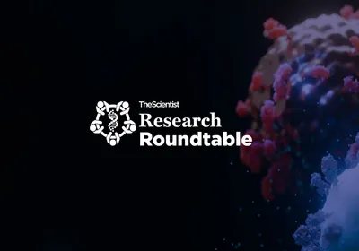Next Frontiers in Cancer Immunotherapy