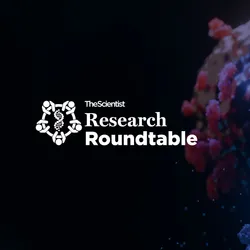 Next Frontiers in Cancer Immunotherapy