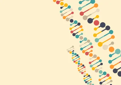 Conceptual multicolored image of DNA helices.