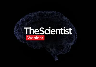 Evaluating Blood Biomarkers for Alzheimer’s Disease Staging