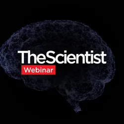 Evaluating Blood Biomarkers for Alzheimer’s Disease Staging
