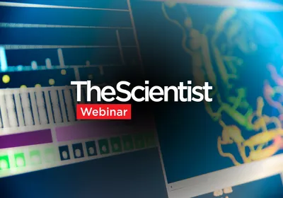 Find better biologics faster with Stunner and the AI Developability Workcell
