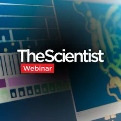 Find better biologics faster with Stunner and the AI Developability Workcell