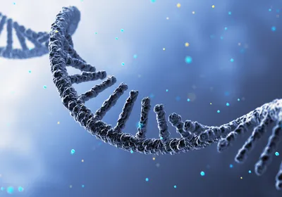 Three-dimensional illustration of a curved, single-stranded RNA molecule against a blue background