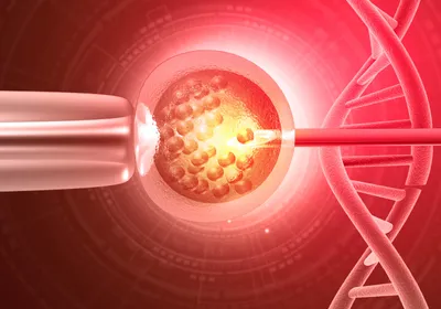 A human egg cell being genetically altered with a syringe and DNA.
