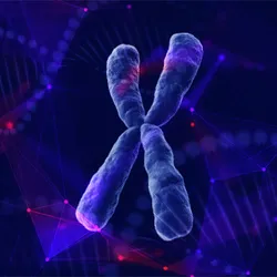 3D rendered chromatin with DNA helix in the background