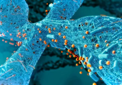 A blue chromosome is shown with yellow dots around it, representing epigenetic regulators.