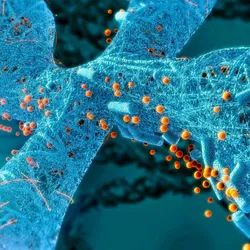 A blue chromosome is shown with yellow dots around it, representing epigenetic regulators.