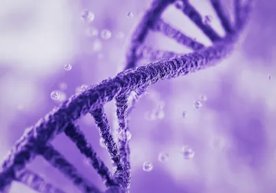 A 3D image of DNA’s double helix structure is shown in purple.