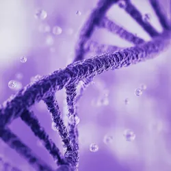 A 3D image of DNA’s double helix structure is shown in purple.