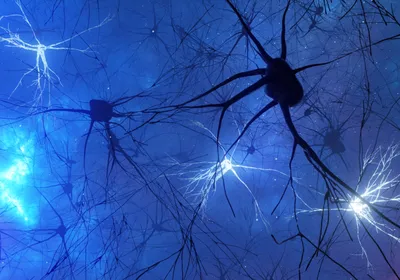 Neurons are shown in white and dark blue against a blue background.