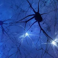 Neurons are shown in white and dark blue against a blue background.