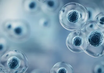 3D illustration of egg cells.