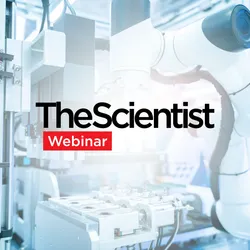 From Connected Workflows to AI-Ready Laboratories