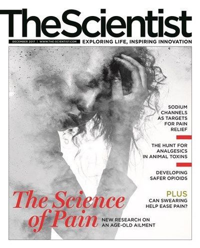 The Scientist's Magazine Cover