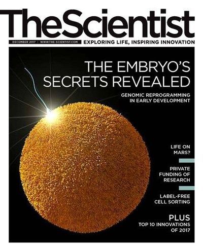 The Scientist's Magazine Cover