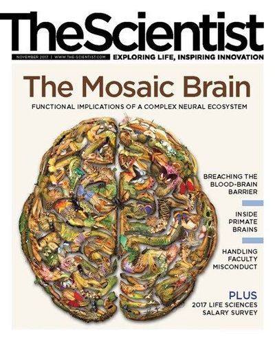 The Scientist's Magazine Cover