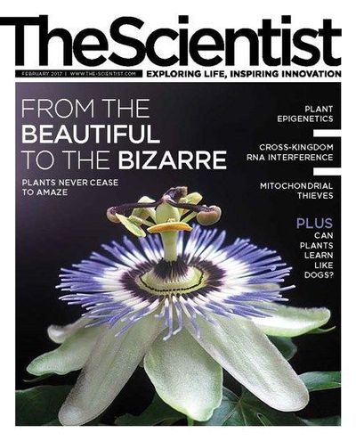 The Scientist's Magazine Cover