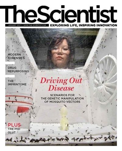 The Scientist's Magazine Cover