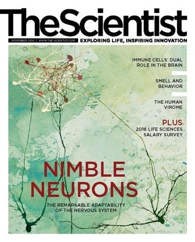 The Scientist's Magazine Cover