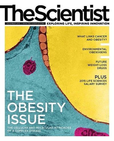 The Scientist's Magazine Cover