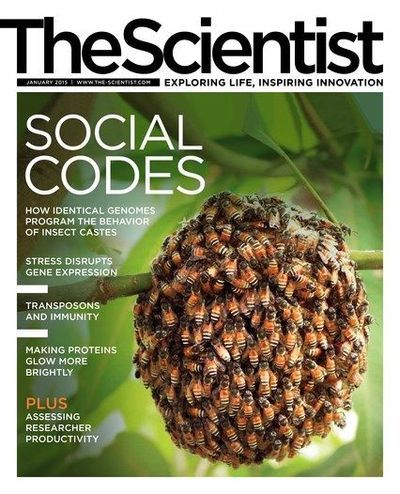 The Scientist's Magazine Cover