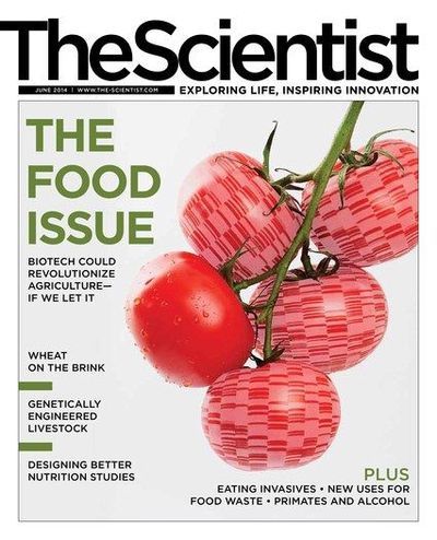 The Scientist's Magazine Cover