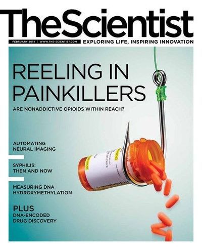 The Scientist's Magazine Cover