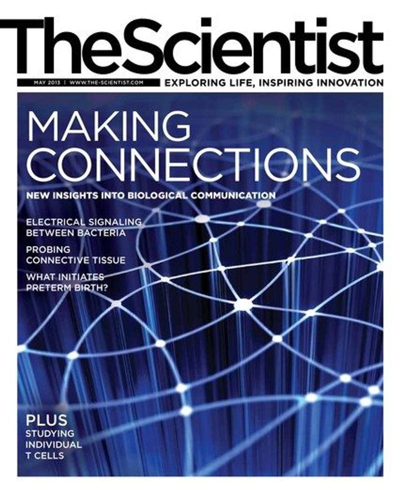 The Scientist Magazine Issue | May 2013 | Making Connections | The ...