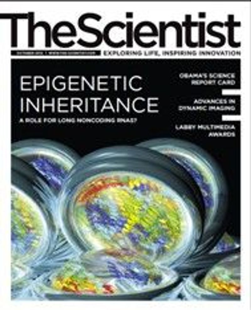 The Scientist Magazine Issue October 2012 October 2012 The Scientist