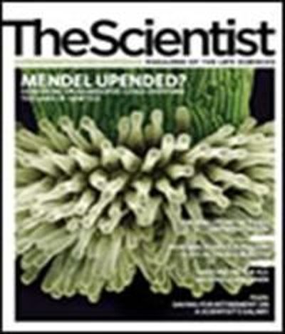 The Scientist's Magazine Cover