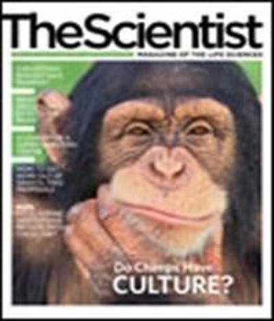 The Scientist's Magazine Cover