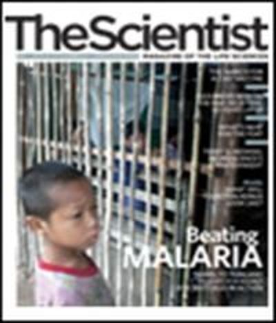 The Scientist's Magazine Cover