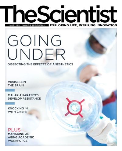 The Scientist's Magazine Cover