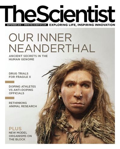 The Scientist's Magazine Cover