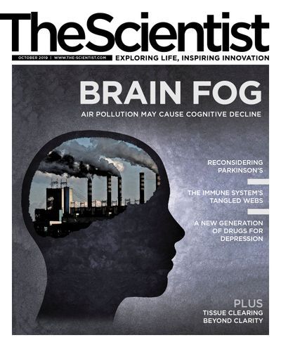 The Scientist's Magazine Cover