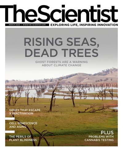 The Scientist's Magazine Cover