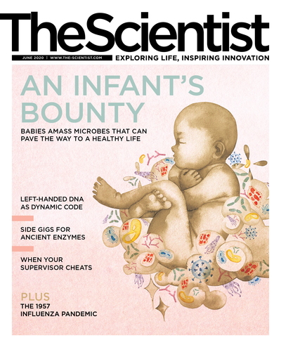 The Scientist's Magazine Cover