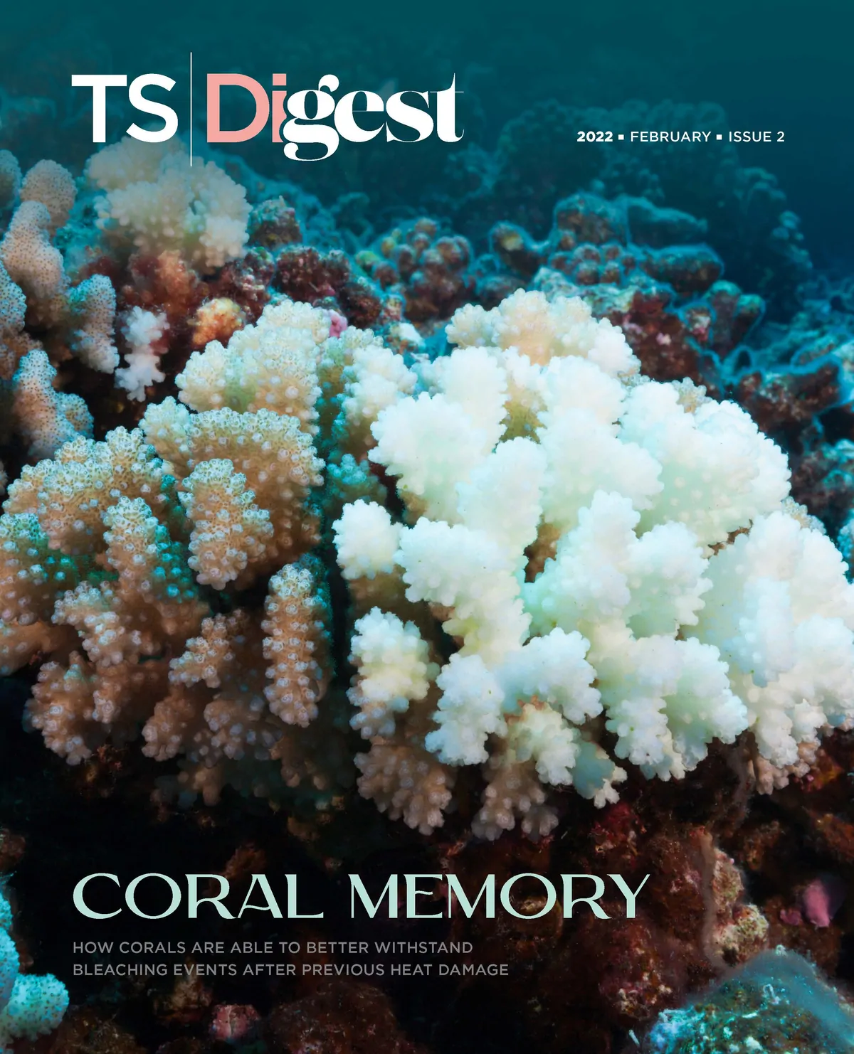 Coral Memory | The Scientist